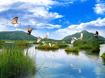 baoshan-beihai-wetland