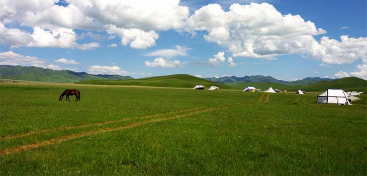 Xiahe Grassland