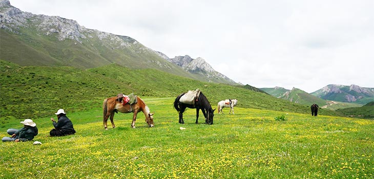 Xiahe Horse Riding