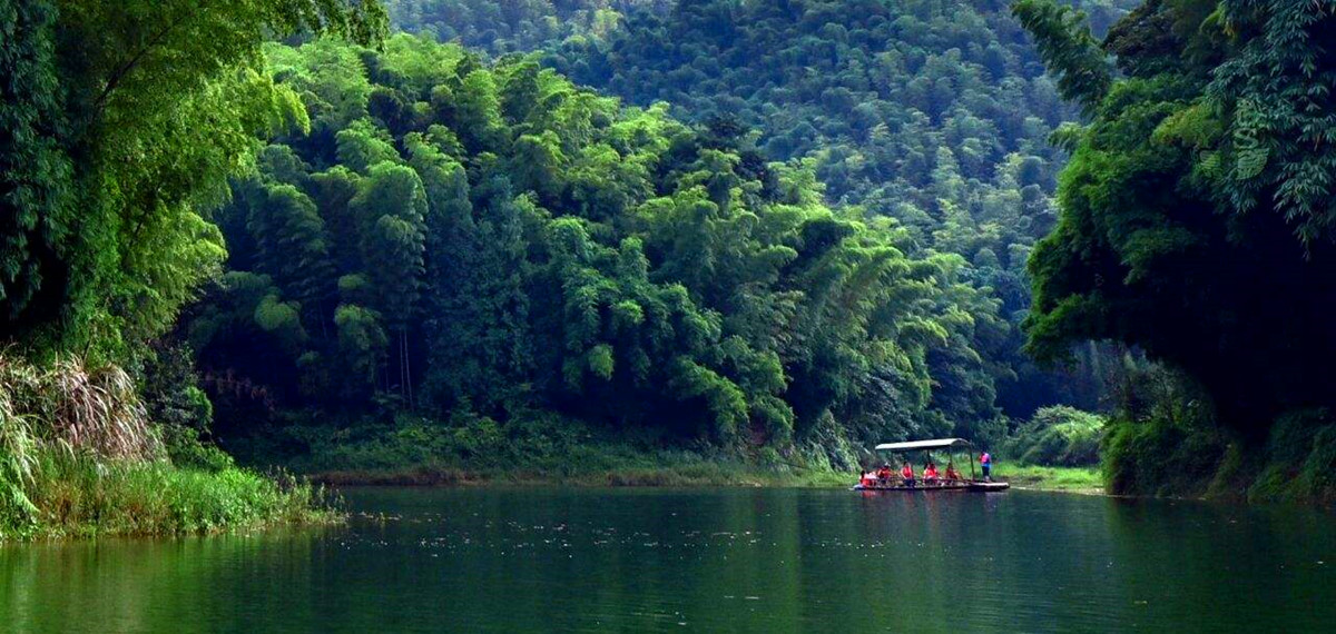 Yibin Bamboo Sea