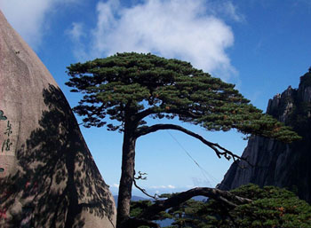 Mt.huangshan