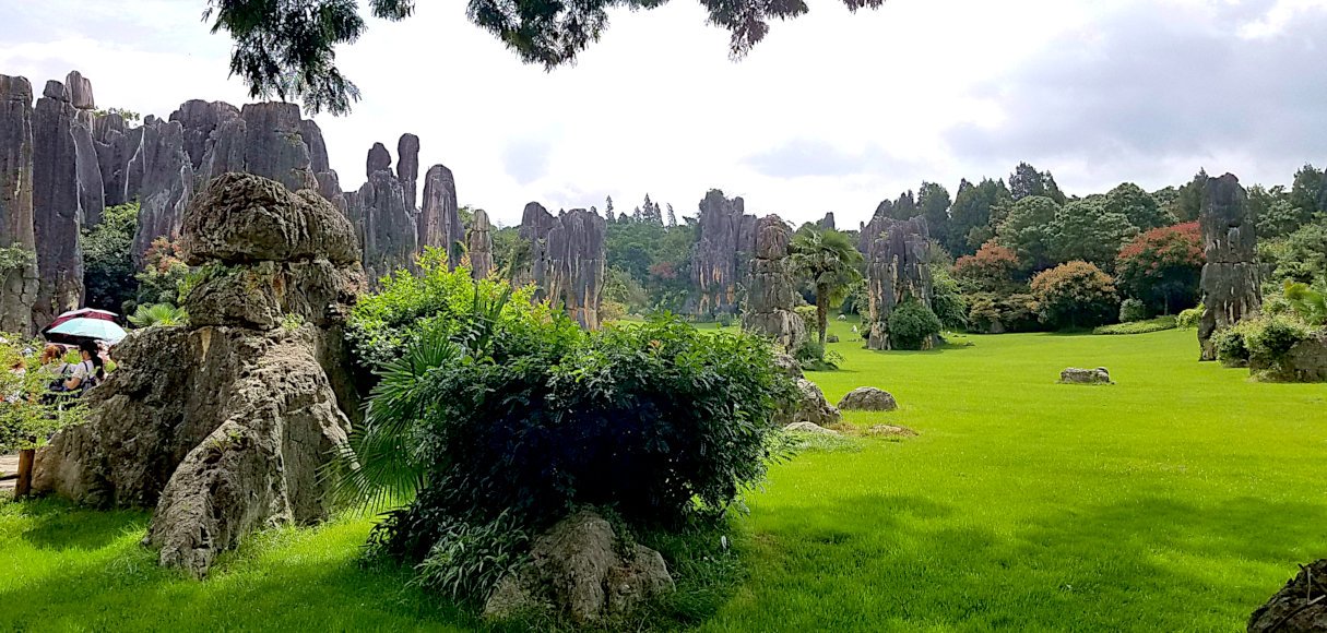 beautiful view of stone forest in kunming
