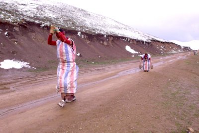 Tibetan Kowtowing Pilgrimage 