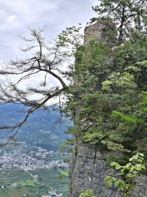 Welcome Pine in Qixingzhai of Enshi Grand Canyon
